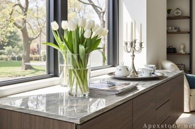 24 in Cielo Quartzite Tops high quality